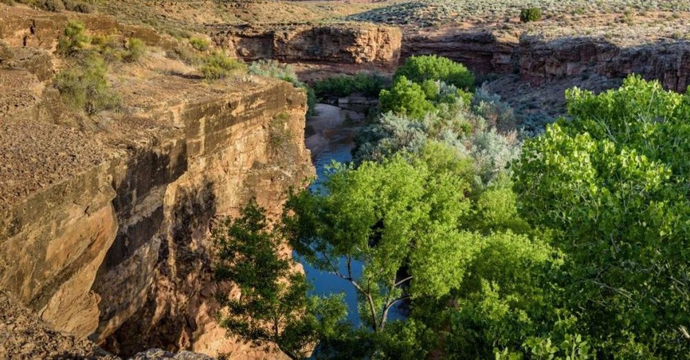 The Nature Conservancy Will Now Forever Protect This River in Zion National Park