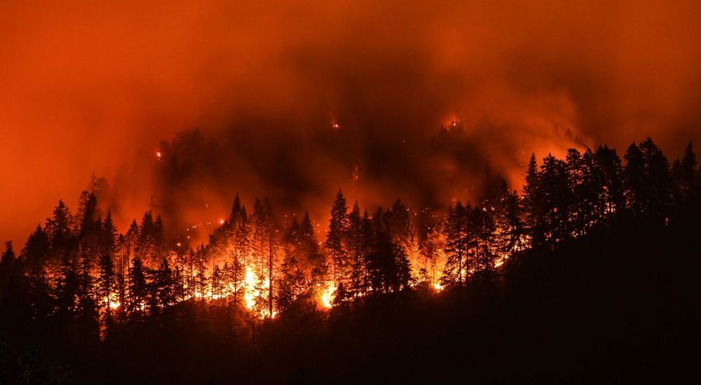 Women Reunited With Sons and Husband Trapped in California Wildfires