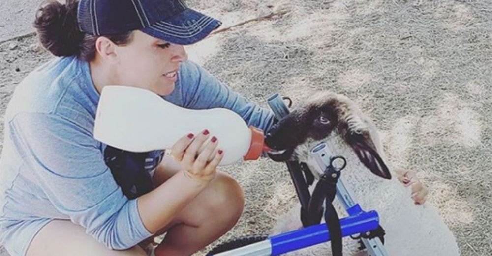 Rescue Farm In Texas Brings Together Children And Animals With Special Needs