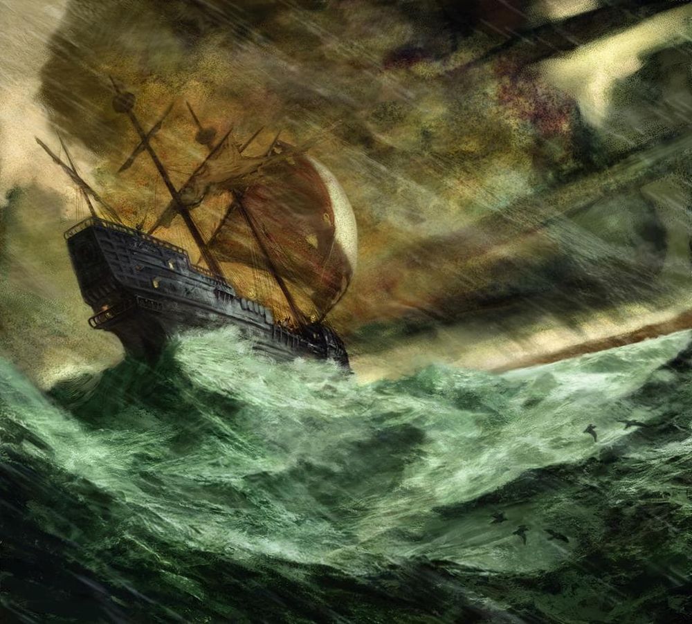 Learning More About African Elephants From a 16th-Century Shipwreck