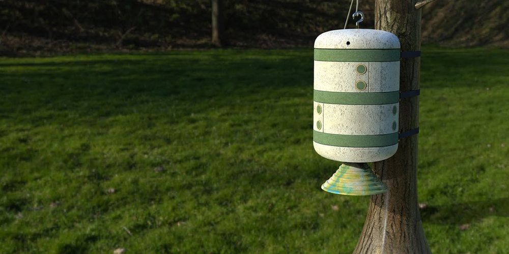Homegrown Mushroom Give Life to Ireland’s Bees