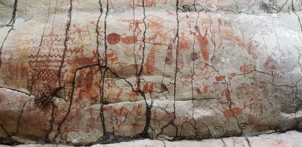 Amazing Miles-Long Cave Paintings Were Found Deep In the Amazon