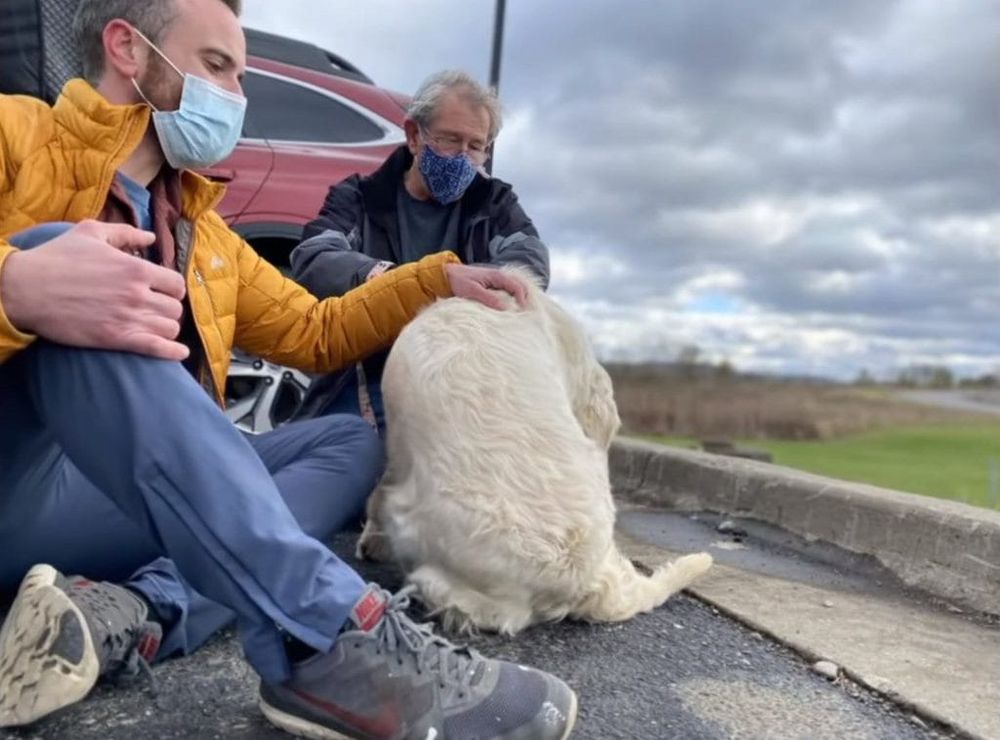 A Hiker With a Drone Saved a Lost Dog in the Nick of Time