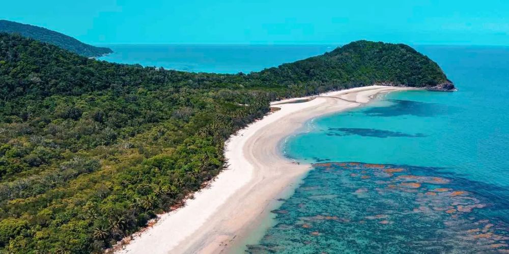 Australian Government Returns World-Famous Daintree Rainforest to its Indigenous Inhabitant Community